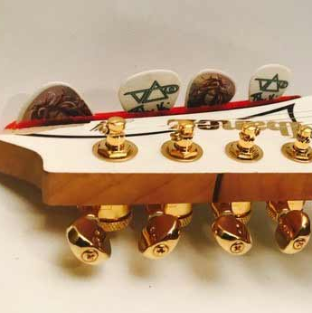 Is Your Guitar Ratio® Tuned Like Steve Vai's?