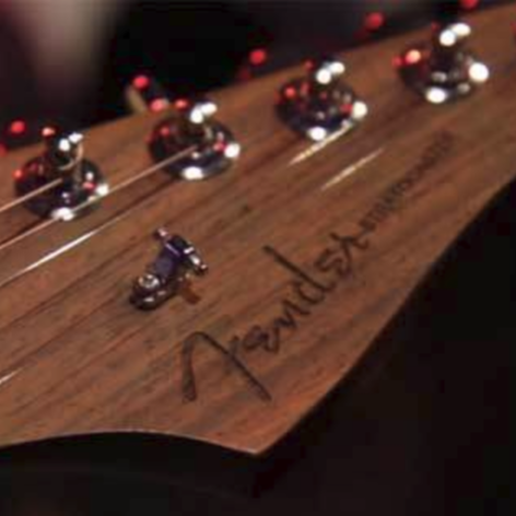 Fretting over Rosewood: The Impact of CITES on the Guitar Industry